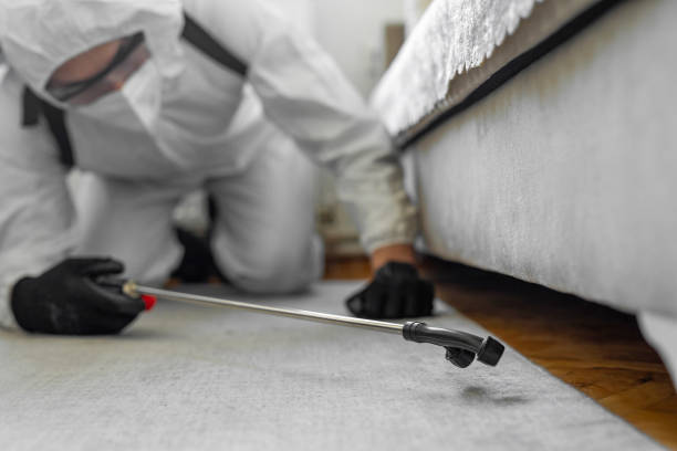 Professional Pest Control technician working in Goldthwaite, TX