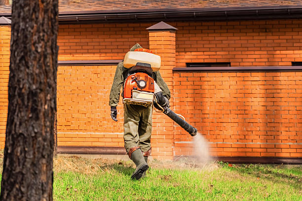 Trusted Cockroach Control service in Goldthwaite, TX - Nex Pest Control